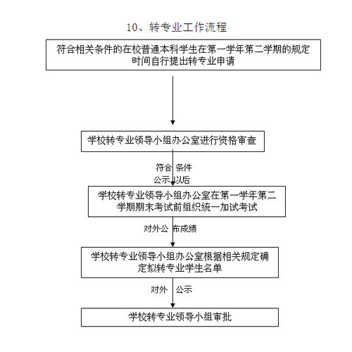 专业追款流程展示