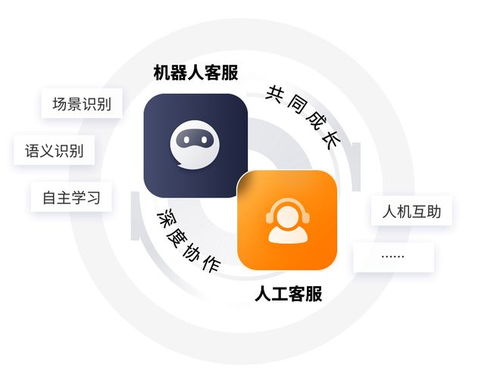 24小时客服支持界面