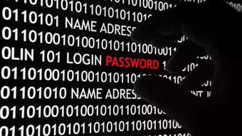 私人黑客工作场景