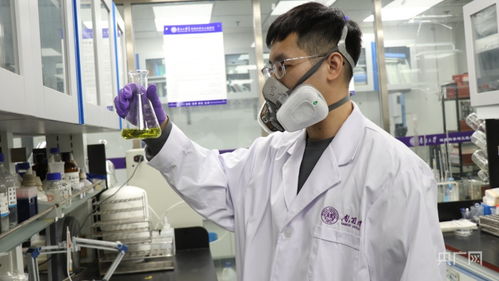 正规黑客联系私人接单的正确打开方式：避坑指南与实操技巧